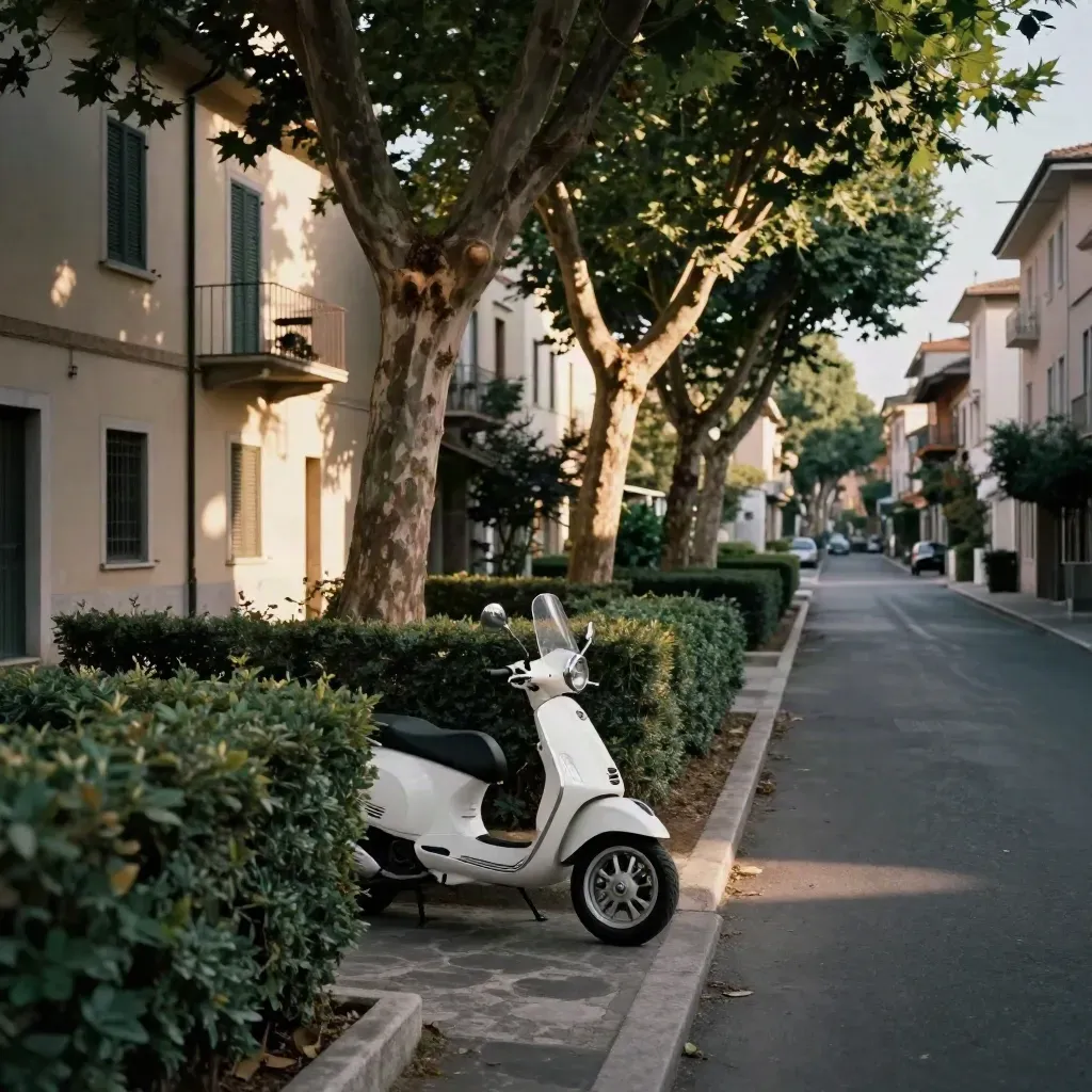 Viale alberato di Roma nord con scooter parcheggiato, siepi curate e palazzi bassi al sole del mattino.